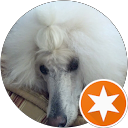 Lisa B. profile picture
